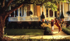 Review the financial subsidy policy for LED street lighting