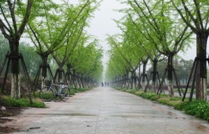 There is a long way for led shop lighting to go