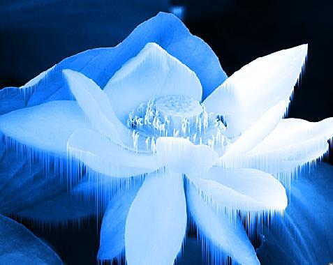 People are missing led street rod tail lights – LED Lighting Blog