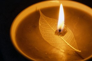 LED landscape lights: combine popularization with the raising of standards LED landscape lights: combine popularization with the raising of standards