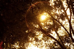 South Korea and international registration exceeded 10,000 ul led street light patent