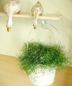 How to improve the working life of LED street light bulbs