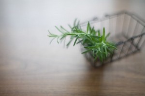 India's rooftop low voltage outdoor lighting India's rooftop low voltage outdoor lighting