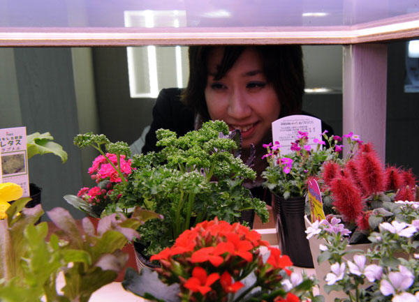 Comparisons between LED grow lamps and HPS Scientists have already developed a series of plant-gardening lighting technologies.