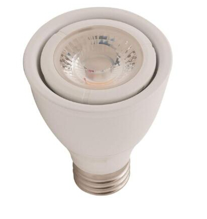 Bright White 3000K LED Flood Light Bulb