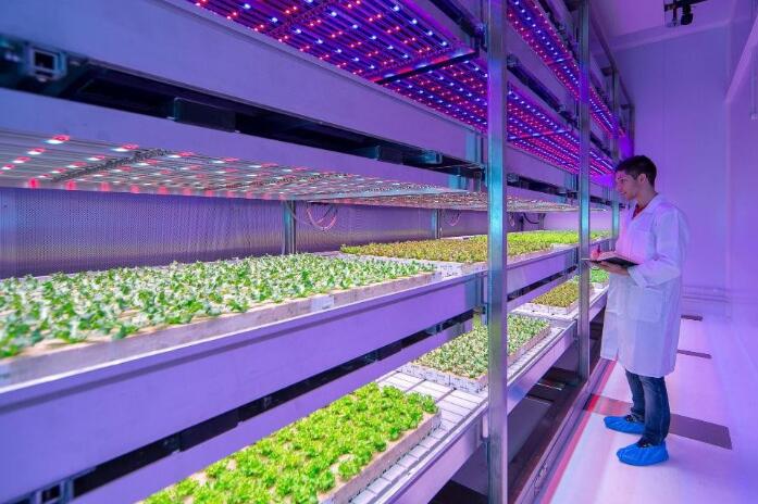 Smart LED lighting from home to agriculture and business