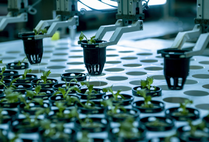 LED Plant Growth Lights Support Modern Agricultural Plant Factory in Yongning Town, Shishi, Quanzhou, Fujian