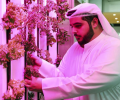 The Abu Dhabi Investment Office invested US $ 100 million to develop modern agriculture such as vertical farms