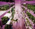 UK agritech center to build urban vertical farms
