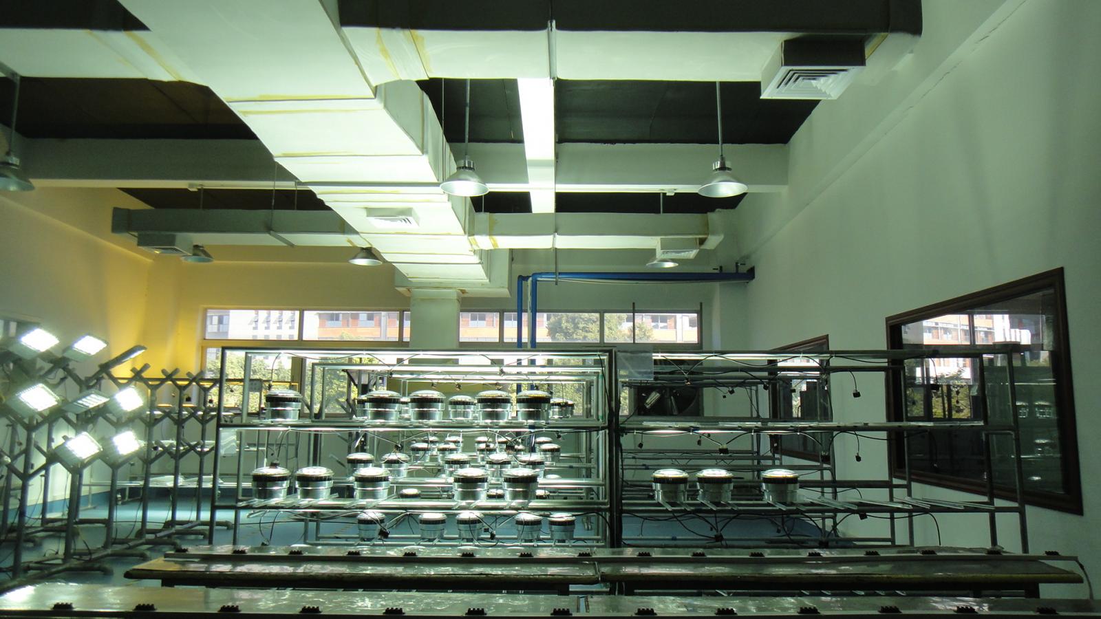 LED lights standard or adjusted from the recommended mandatory