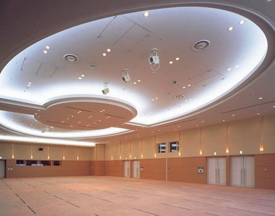 LED Downlight prospects