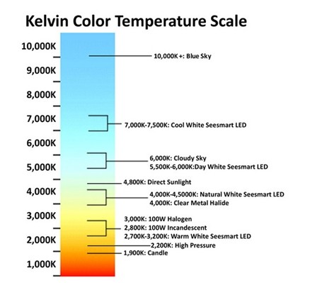 What is the color temperature of LED LAMPS
