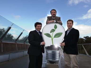 LED lighting into the rapid growth of the outbreak