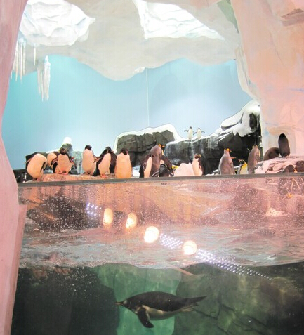 LED lighting simulation Antarctic natural light