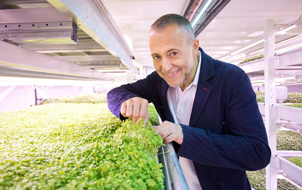World War II air-raid shelter was transformed into the world's first underground farms