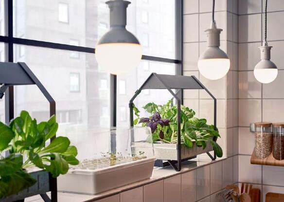 The future of LED lamps and lanterns products export is expected to drop to zero tariff