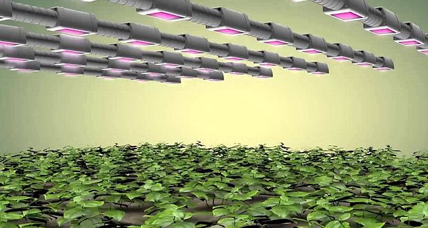 Future development of LED grow lights