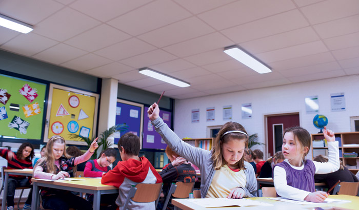 Schools LED lighting products replacement