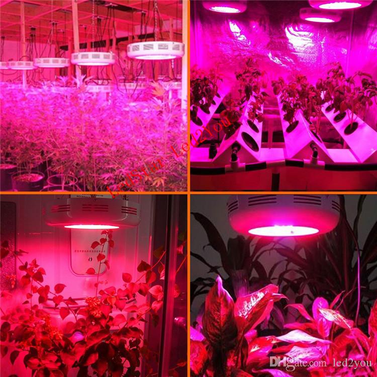 LED Grow Light prices is a little high