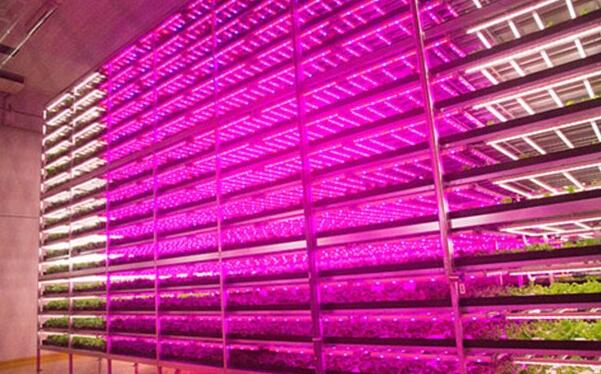 LED Grow lighting market outbreak