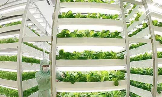 Multinational enterprises layout LED grow light
