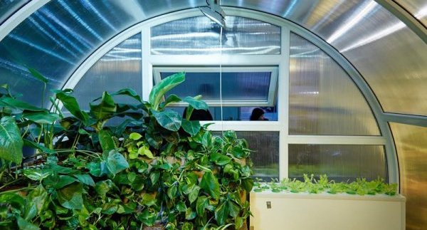 2020 global smart lighting market will reach 59.1 billion USD