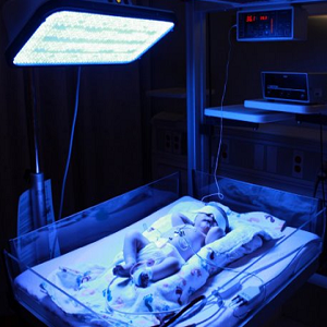 Special LED lighting industry market situation