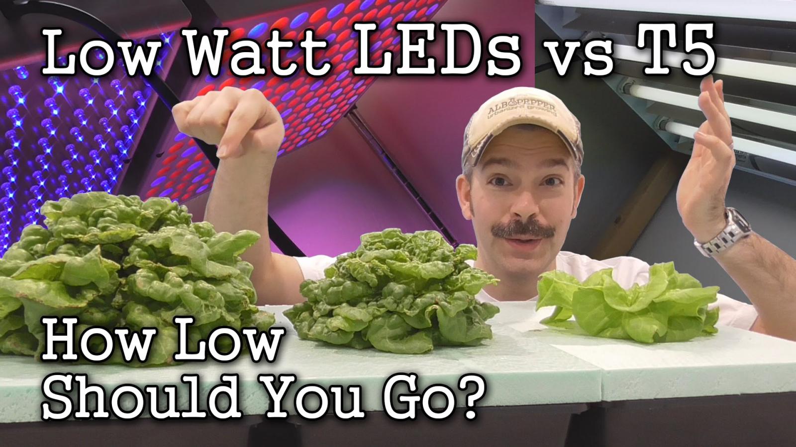 Plenty intends to use LED light to grow organic vegetables in China