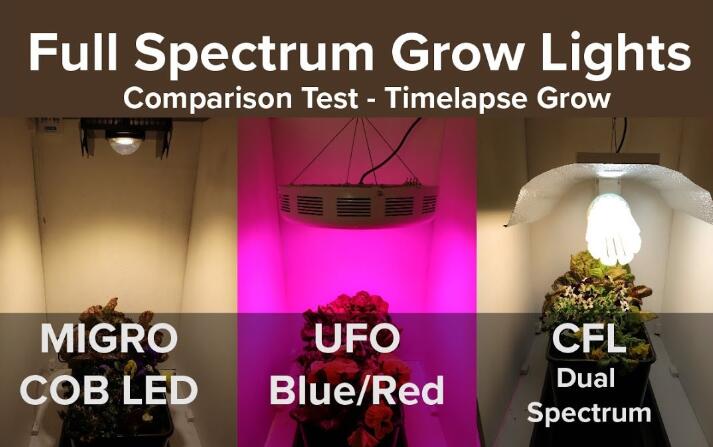 How is the development status and trend of plant lighting?