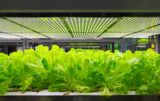 2050 LED lighting helps to feed 10 billion people?