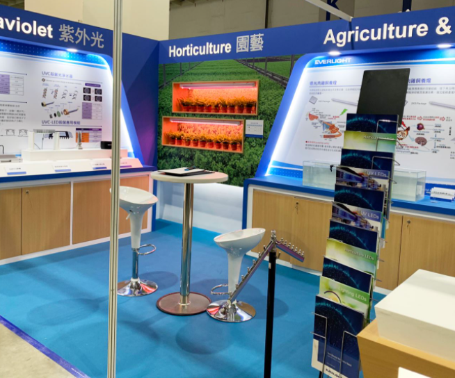 Everlight and National Taiwan University develop LED lights for grouper
