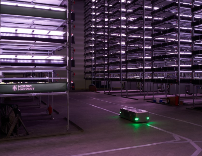 Denmark's super large vertical farm LED lights all-weather lighting