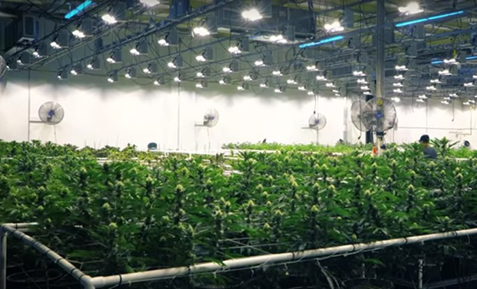 ENELTEC is optimistic about the LED plant lighting market