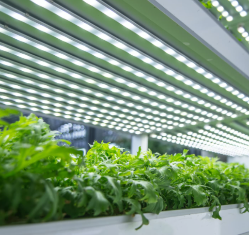 Smart growth box equipped with LED lighting to grow perfect plants