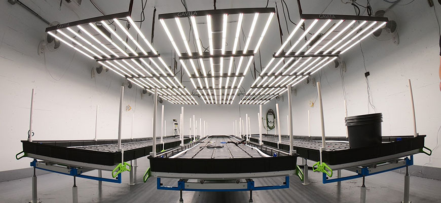 Challenges and opportunities for the development of the plant lighting LED market
