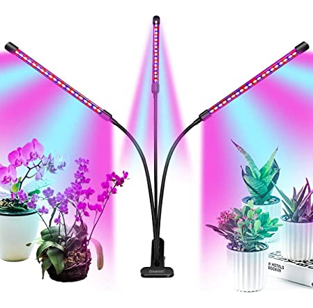 LED plant lighting on the fast lane