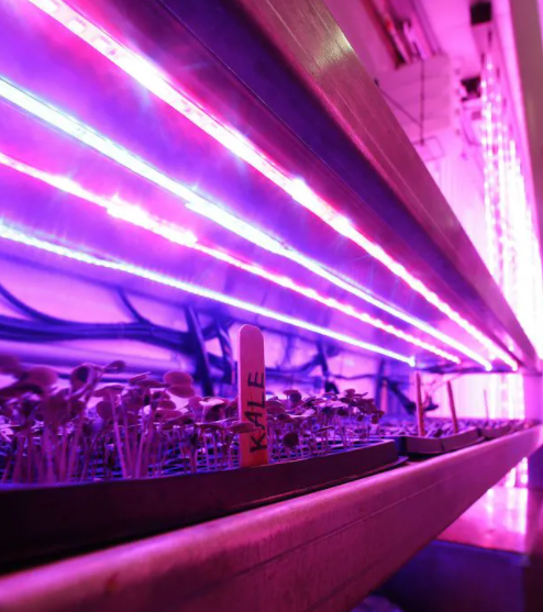 LED plant lighting power business detonates performance