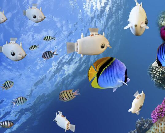 Harvard University uses LED lights to develop living robotic fish