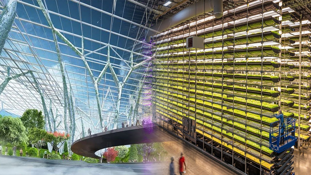 Chinese company launched an improved version of the indoor high-tech "smart farm"
