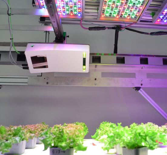 LED lighting customizes light recipes for plant growth