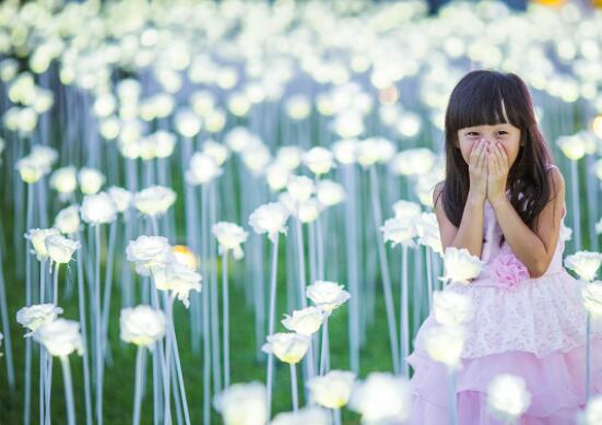 Tourists in Guguan grab a photo of thousands of LED rose lights