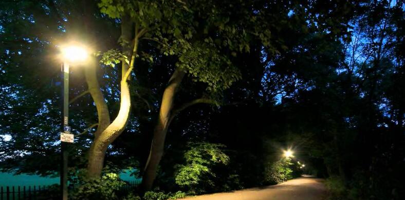 Protect wildlife with LED lighting
