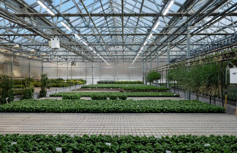 CSA project "General Technical Requirements for LED Lighting System for Artificial Glossy Vegetable Production"