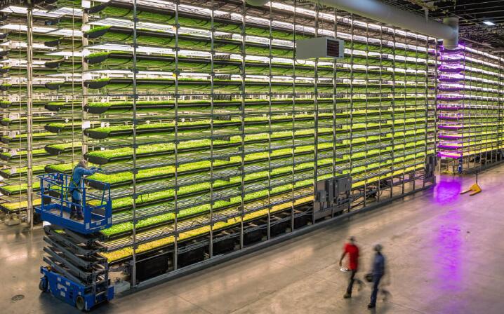 Abu Dhabi government pushes vertical farm development plan