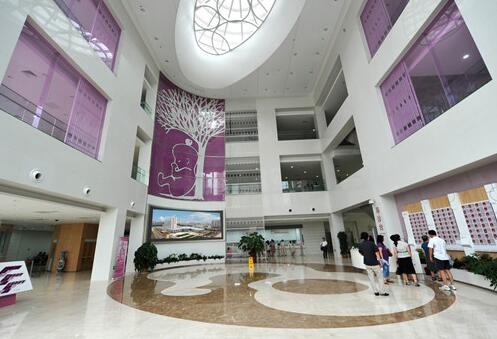 Tianjin Central Obstetrics and Gynecology Hospital Binhai campus lighting successfully turned on