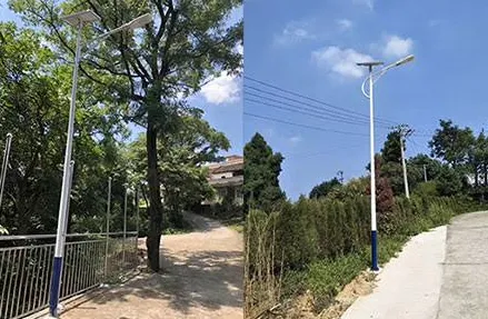 66 Solar Orchid-Style Streetlights Installed in Zhenzhu Village, Wengyuan County, Shaoguan, Guangdong