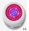 New model LED grow light