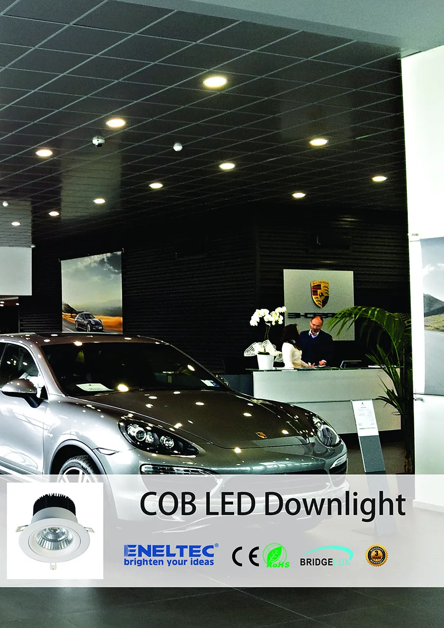 COB LED Downlight