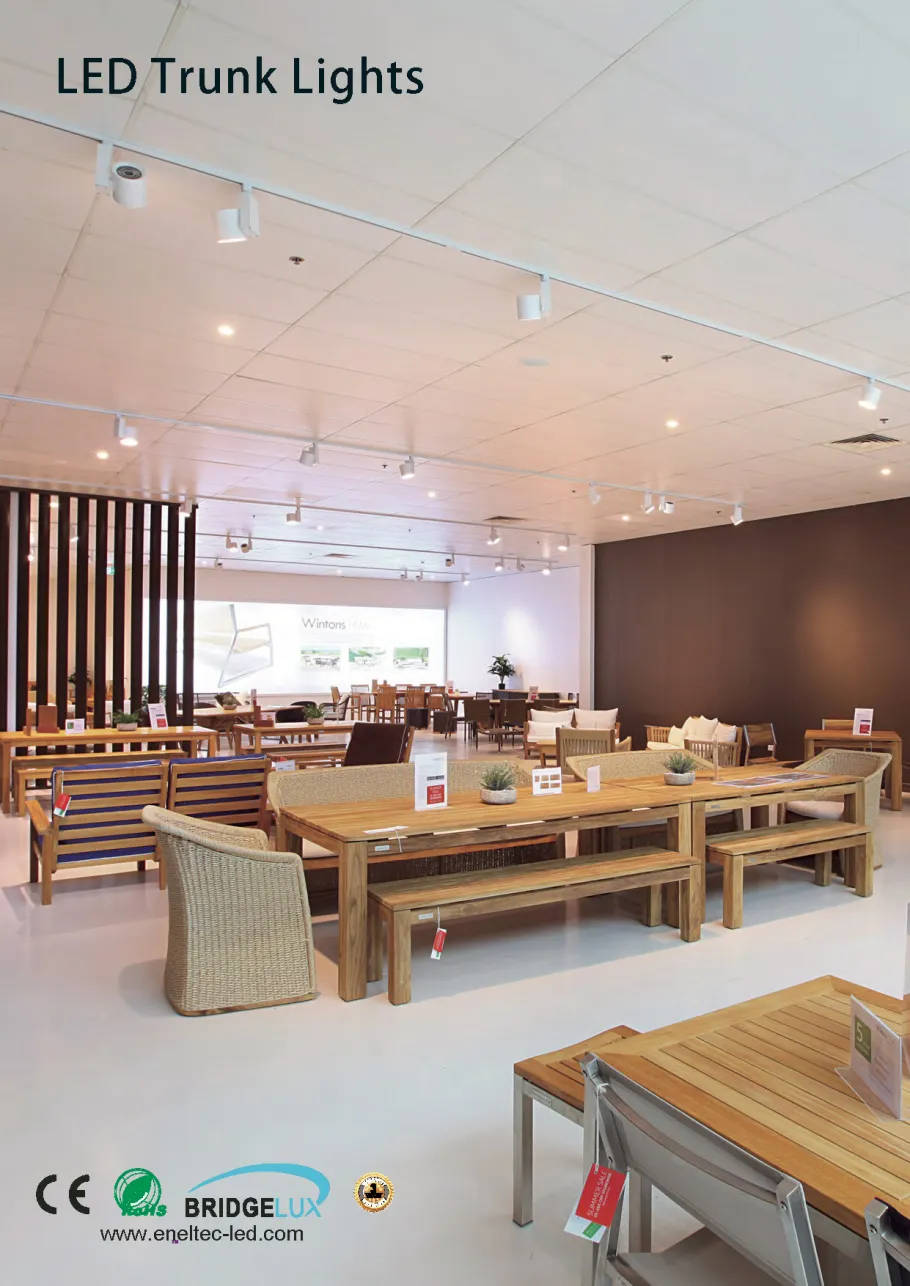 LED trunk lamp/LED wall wash downlight