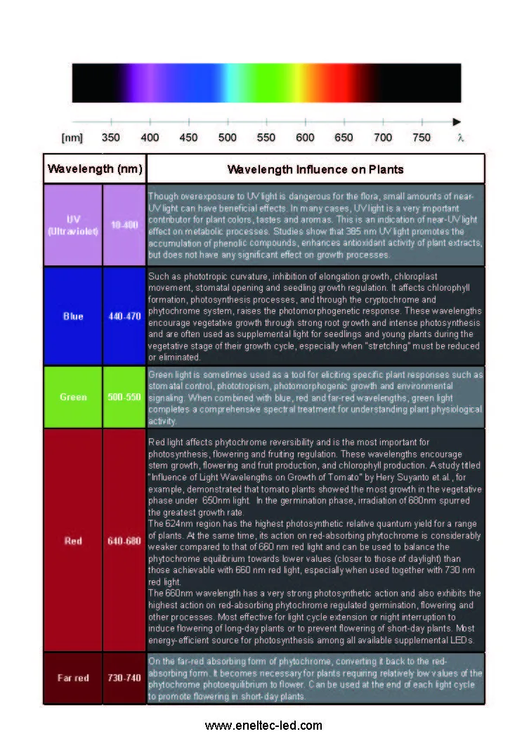 Apollo LED Grow Lights